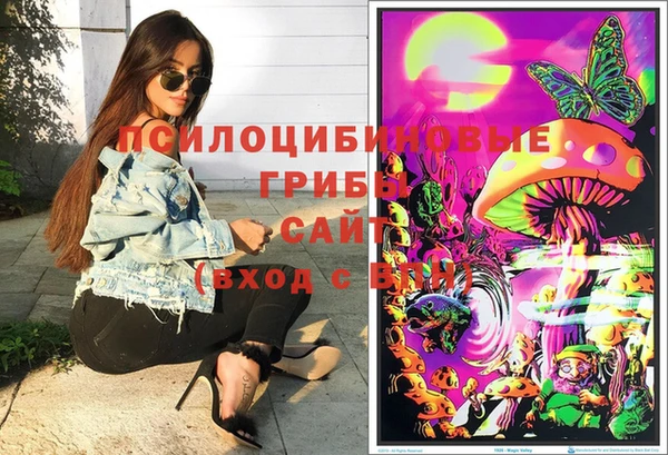 COCAINE Богородицк