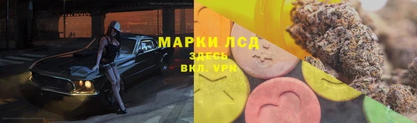 ГАЛЛЮЦИНОГЕННЫЕ ГРИБЫ Богородск
