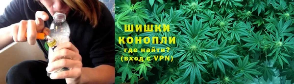 ГАЛЛЮЦИНОГЕННЫЕ ГРИБЫ Богородск