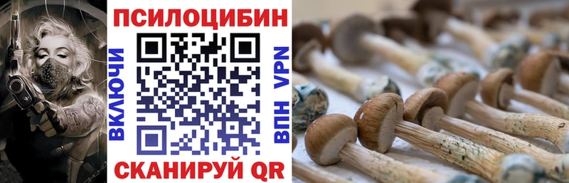 Галлюциногенные грибы прущие грибы Усмань